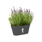 loft urban green wall duo 28cm anthracite